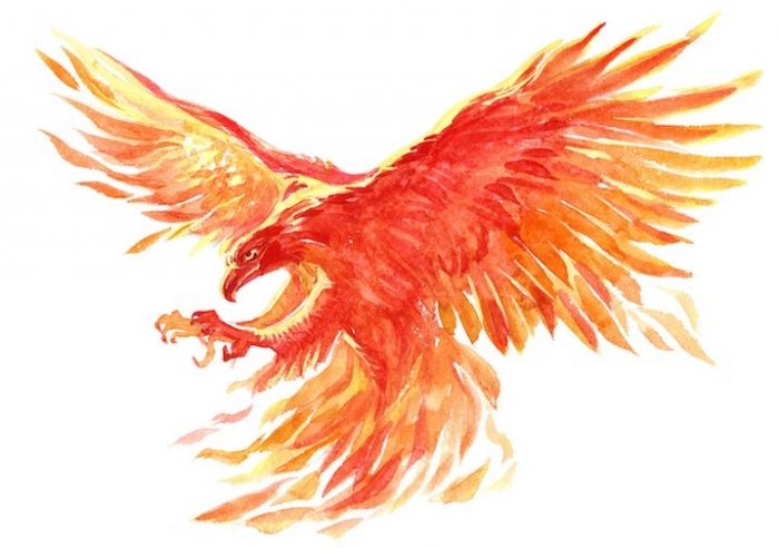 suzaku suzaku